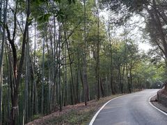 -潜山国家森林公园