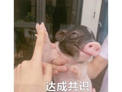 -自贡好吃客(科华店)