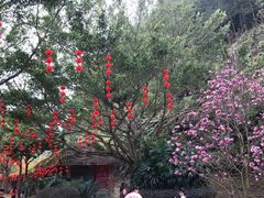 -梅州雁山湖国际花园度假区