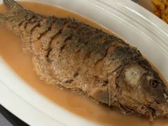 -阿五黄河大鲤鱼(纬三路店)