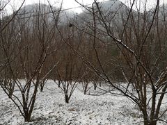 -黑河国家森林公园