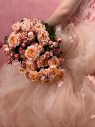 -WAVE SODA摄影工作室