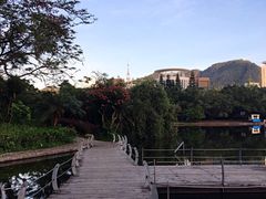 -四海公园(南山区)