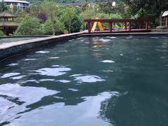 -中铁花水湾温泉酒店(大邑店)