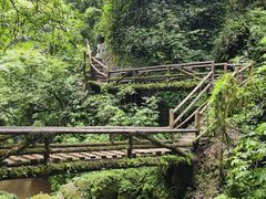 -青城山