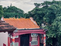 -东寨港红树林旅游区