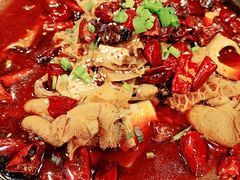 咱家毛血旺-金鼎轩(亚运村店)
