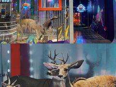 -凯德广场(武胜路店)