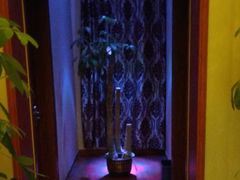 -汐悦汇足疗·星级·订制·唤醒SPA(西客站)