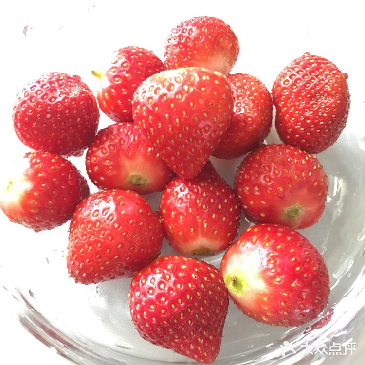 泡菜真的绝了！喜欢吃泡菜的人吃一口就忘不了