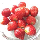 泡菜真的绝了！喜欢吃泡菜的人吃一口就忘不了