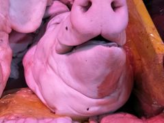 -岳各庄批发市场(西四环中路店)