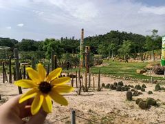-东莞植物园