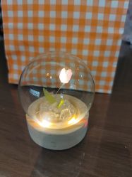 -雪绒花月子会所(万安店)