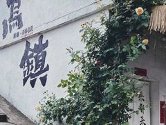 -乌镇景区