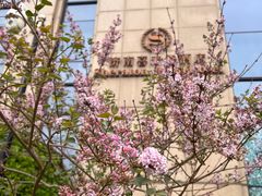 -济南喜来登酒店