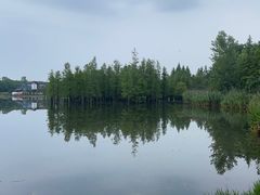 -白鹭湾湿地公园