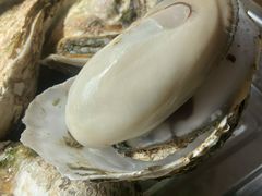 原汁蒸海岛生蚝-龙坛美食店