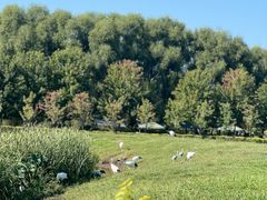 -沈阳森林动物园