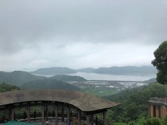 -黄贤森林公园