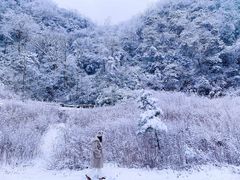 -武陵山森林公园
