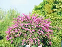 -杭州城北体育公园