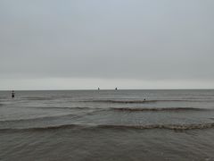 -奉贤海滩