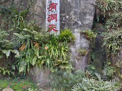 -深圳仙湖植物园