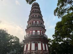 -顺峰山公园