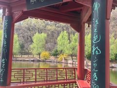 -横山寺