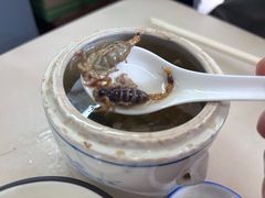蝎子党参乌鸡汤-国英炖品店(甲子路店)