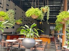 -成都博舍酒店