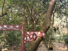 -岳麓山风景名胜区