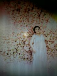 -苏菲亚婚纱影楼尊爵店(昆区店)