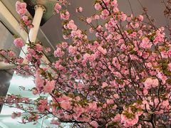 -上海游泳馆(地铁站)