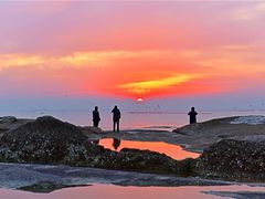 -渡海小渔村.老辈日照菜