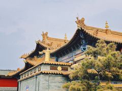 -大召无量寺