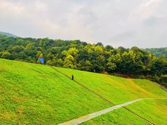 -龙坞茶村