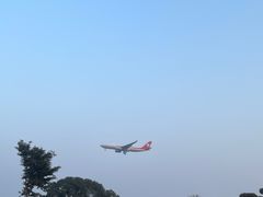 -空港花田景区
