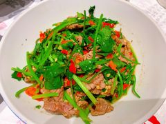 香菜炒牛肉-壹盏灯(蚂蚁工房店)