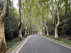 -钟山体育运动公园