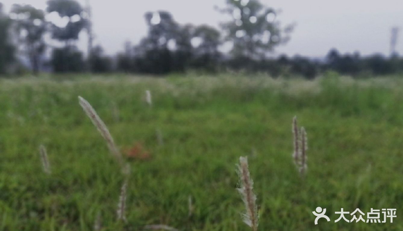 成都公园避暑，夏夜超级喜欢来成都露天音乐公园吹凉风。