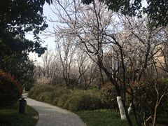 -唐城墙遗址公园