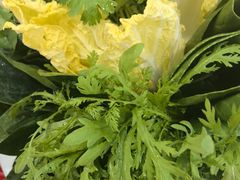 -草原传奇鲜羊火锅(桥北店)