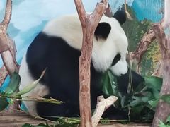 -南宁市动物园