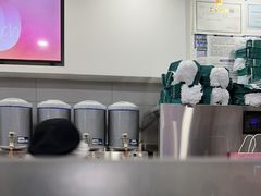 -雾与山茶(大禹城店)