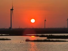 -盐城丹顶鹤湿地生态旅游区