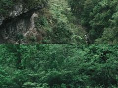 -鹿院坪生态旅游景区