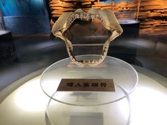 -上海海昌海洋公园-停车场