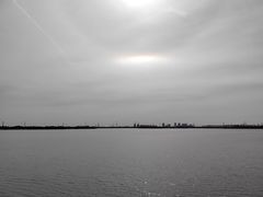 -漕湖湿地公园